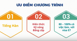 Những ưu điểm du học nghề Hàn Quốc - Visa D4-6